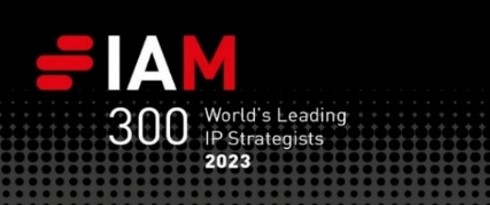 IAM 300.jpg