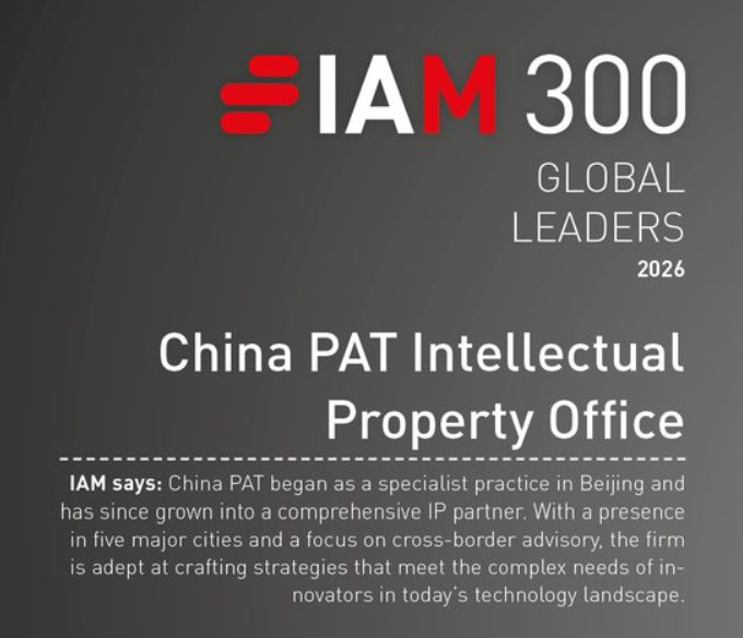 IAM Strategy 300 2025-2.png